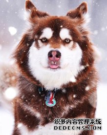 �����ȳ��������� ����ɫ���硷�����㣡 �ֻ���Ϸ��