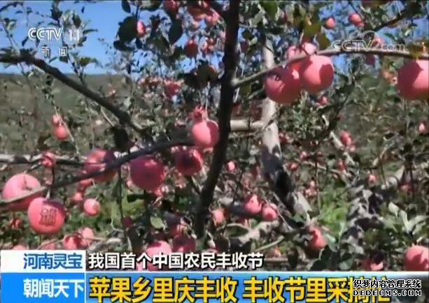 ���ҹ��׸��й�ũ����սڡ�����ũ�������