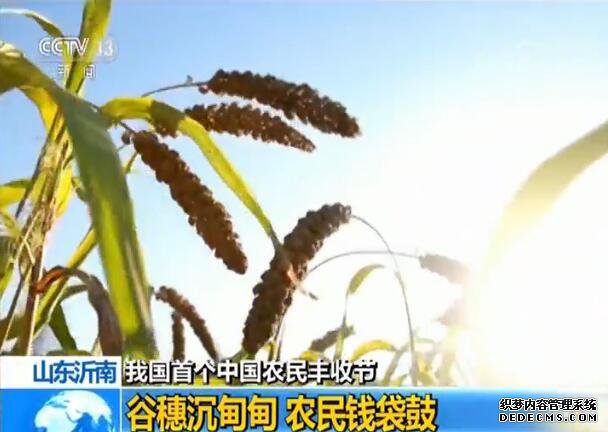 ���ҹ��׸��й�ũ����սڡ�����ũ�������